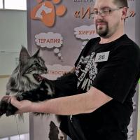 Международная выставка кошек «ПАРАЛЛЕЛЬ FEST» 15-16 февраля 2020, Воронеж